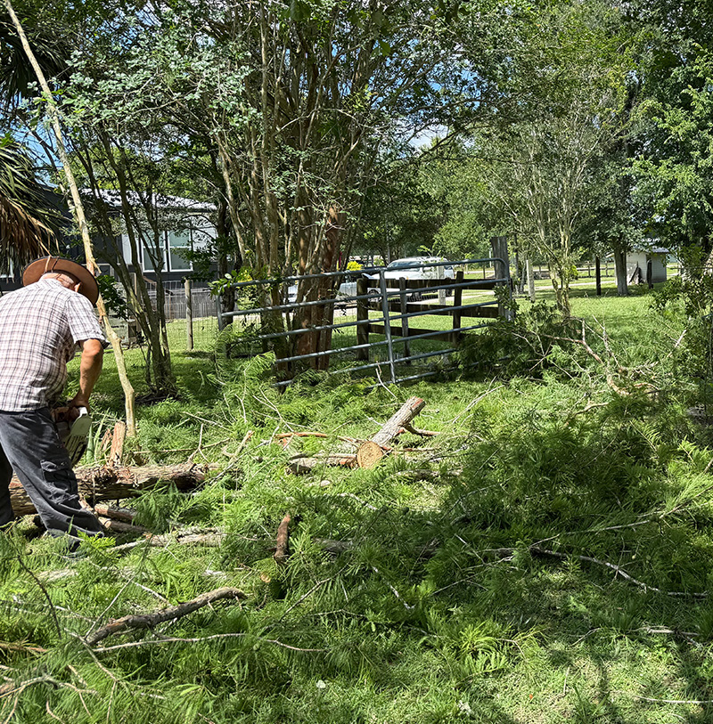 S and V ground crew cutting limbs and clearing thick brush from a rural property fence line in Rosenberg Texas